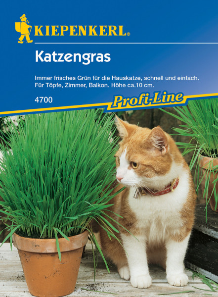 Produktbild von Kiepenkerl Katzengras mit einer Katze daneben zeigt den Artikel, sein Markenlogo und Beschreibungstexte für die Verwendung im Innen- und Außenbereich.