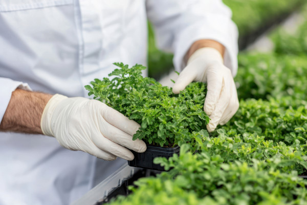 large-a-person-planting-herbs-in-pots-with-care-for-sustainable-gardening