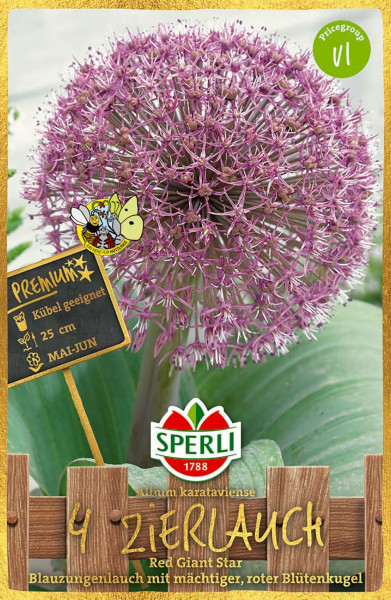 Produktbild von Sperli Premium Zierlauch Red Giant Star mit einer Detailaufnahme der violetten Bluetenkugel und Verpackungsinformationen zu Pflanzeigenschaften und Logo der Marke Sperli.