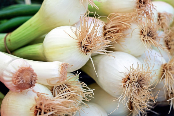 onion-1415814_1280