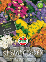 Sperli Strandflieder SPERLI's Colorita Mischung