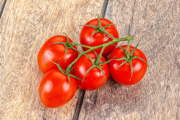 2400-raw-red-flamenco-tomato-branch