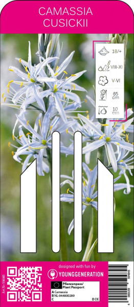 Produktbild von Sperli Young Generation Prärielilie Verpackung mit Bildern der blauen Blumen, Pflanzinformationen und einem Barcode