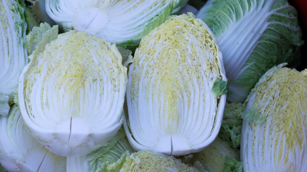 chinese-cabbage-5798137_1280