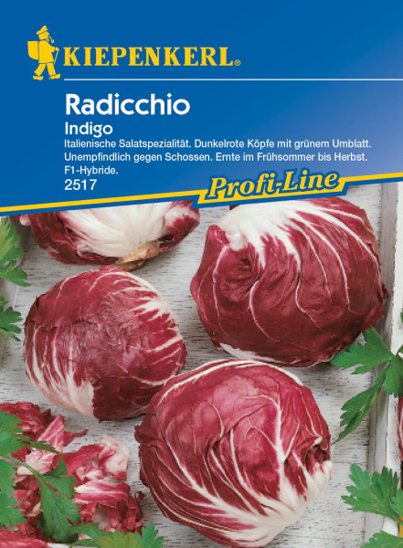 Produktbild von Kiepenkerl Radicchio Indigo F1 mit Beschreibung als italienische Salatspezialität dunkelrote Köpfe mit grünem Umblatt und Ernteinformation auf weißem Hintergrund.