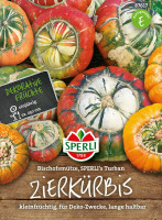 Sperli Zierkürbis Bischofsmütze SPERLI's Turban