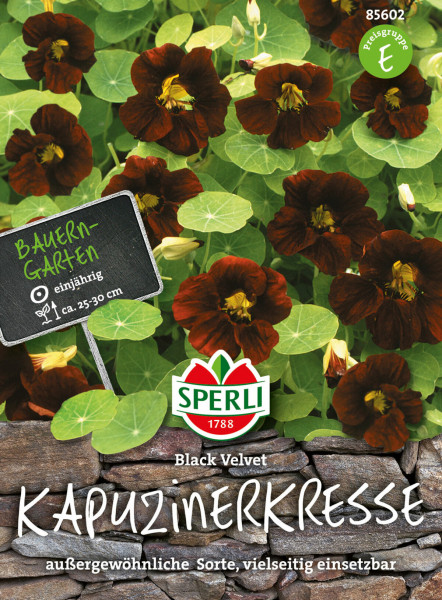Produktbild von Sperli Kapuzinerkresse Black Velvet mit dunkelroten Blüten und grünen Blättern aufgestellt vor einer Steinmauer sowie Verpackungsdetails und Markenlogo.