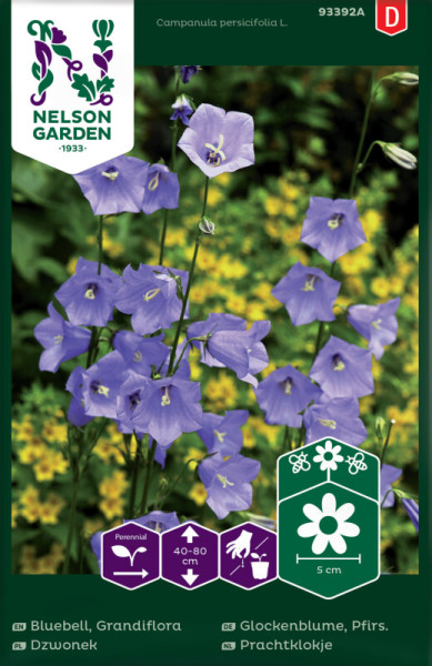 Produktbild von Nelson Garden Pfirsichblättrige Glockenblume mit blühenden Pflanzen und Informationen zu Wuchsgröße Sonneneinstrahlung und Blütengröße.
