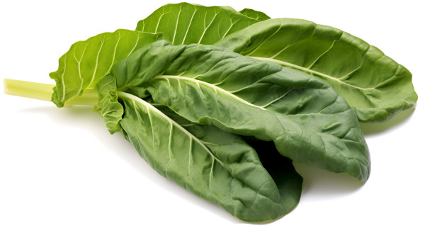 large-photo-of-collard-greens-isolated-on-white-background