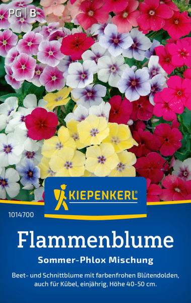 Kiepenkerl Flammenblume Sommer-Phlox Mischung