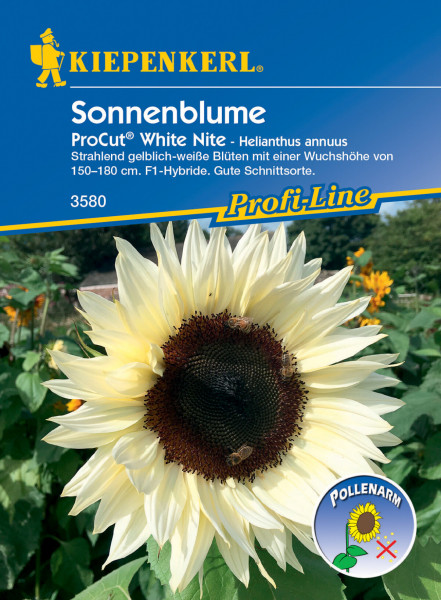 Kiepenkerl Sonnenblume ProCut® White Nite, F1