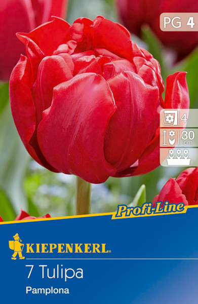 Produktbild einer roten gefüllten frühen Tulpe namens Pamplona aus der Kiepenkerl Profi-Line Serie mit Verpackungsdesign und Pflanzinformationen.