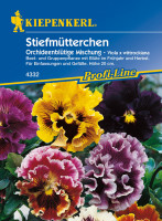 Produktbild von Kiepenkerl Stiefmütterchen Orchideenblütige Mischung mit blühenden Pflanzen in verschiedenen Farben Verpackung für Beet- und Gruppenpflanzen...