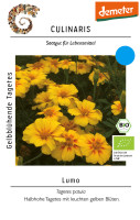 Culinaris BIO Gelbblühende Tagetes Lumo