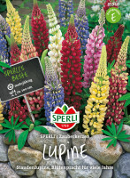 Sperli Lupine SPERLI's Zauberkerzen