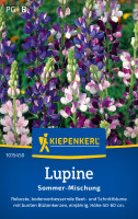 Kiepenkerl Lupine Sommer Mischung