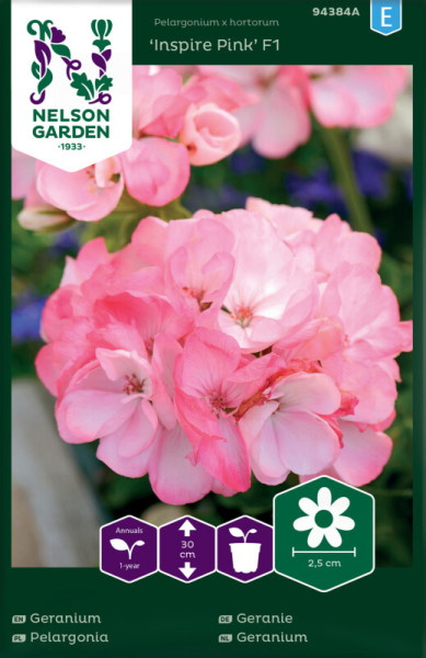 Produktbild von Nelson Garden Geranie Inspire Pink F1 mit Nahaufnahme pinker Blüten und Produktinformationen zur Pflanzenart und -größe auf Deutsch und anderen Sprachen.