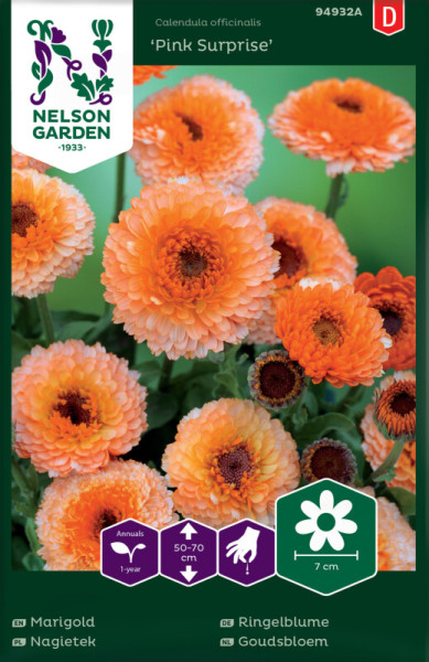 Produktbild von Nelson Garden Ringelblume Pink Surprise mit Abbildung von orangefarbenen Blüten und Informationen zur Pflanzenart sowie Wuchshöhe.