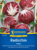Kiepenkerl Radicchio Indigo F1