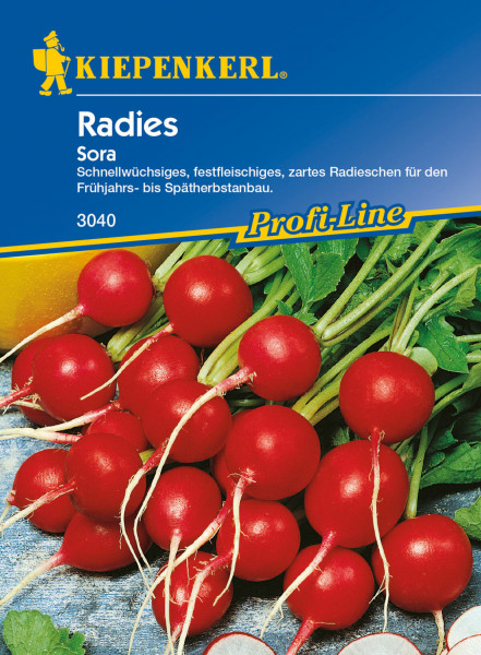Produktbild von Kiepenkerl Radieschen Sora Saatgutverpackung mit Bildern roter Radieschen und Beschreibung als schnelles festfleischiges Gemüse für den Anbau im Frühjahr bis Spätherbst.