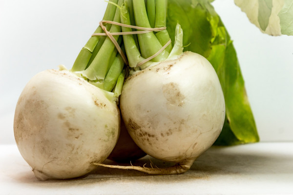 turnip-5231855_1920-1