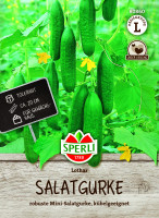 SPERLI Salatgurke Lothar, F1