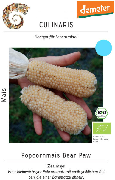 Produktbild von Culinaris BIO Popcornmais Bear Paw mit dem Demeter-Label und der Beschreibung als eher kleinwüchsiger Popcornmais mit weiß-gelblichen Kolben die einer Bärentatze ähneln.