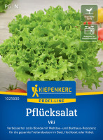 Kiepenkerl Pflücksalat Vili
