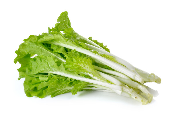large-lettuce-isolated-on-white-background