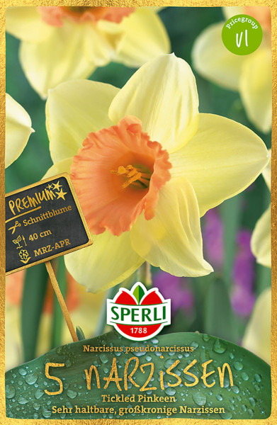 Produktbild von Sperli Premium Großkronige Narzisse Tickled Pinkeen mit Abbildung der gelben Narzissenblüten mit orange-roter Mitte und Verpackungsinformationen auf Deutsch.