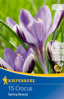 Kiepenkerl Wildkrokus Spring Beauty