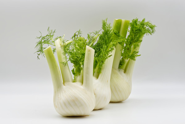 large-three-fresh-fennel-bulbs-are-displayed-against-a-plain-white-background