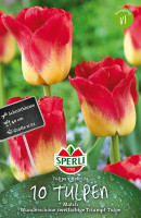 Sperli Triumph-Tulpe Match