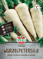 Sperli Petersilienwurzel Halblange
