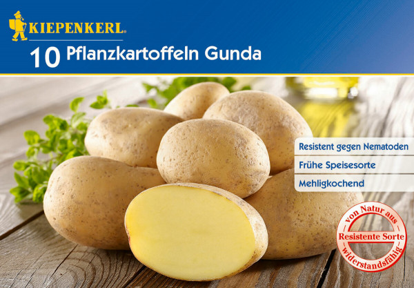 Produktbild von Kiepenkerl Pflanzkartoffel Gunda 10 Stück mit aufgeschnittener Kartoffel und Informationen über Resistenz gegen Nematoden frühe Speisesorte und mehligkochende Eigenschaften