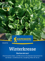 Kiepenkerl Winterkresse Barbarakraut