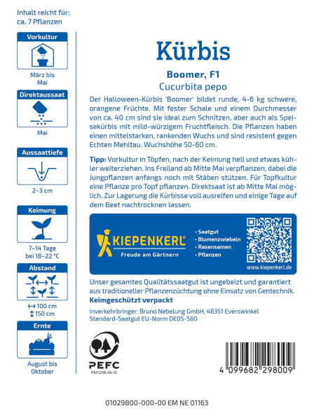 Kiepenkerl Kürbis Boomer F1