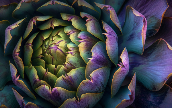 2400-ai-generated-a-macro-shot-capturing-the-intricate-details-and-mesmerizing-purple-hues-of-an-artichoke-bloom