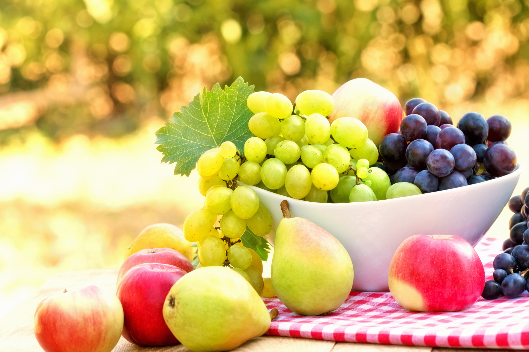 Obstsamen die leckersten Sorten im eigenen Garten anbauen