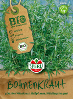 Sperli BIO Bohnenkraut