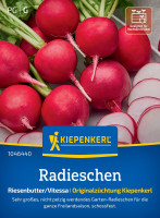 Kiepenkerl Radieschen Riesenbutter/Vitessa Kiepenkerl Radieschen Riesenbutter/Vitessa