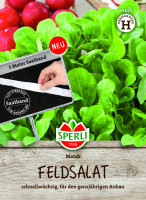 SPERLI Feldsalat Match, Saatband