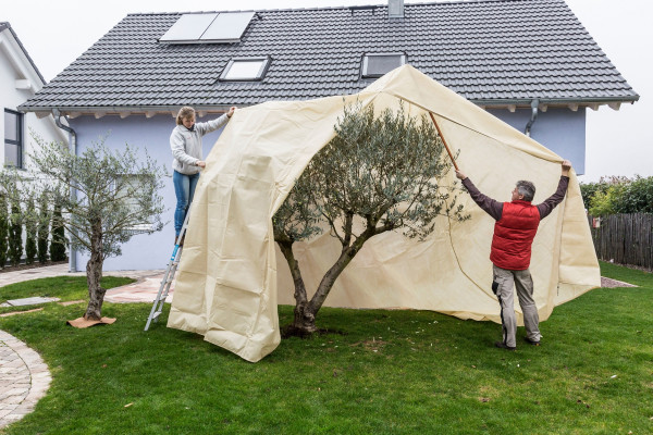 Produktbild von Videx Winterschutz Vlieshaube XXXL 3, 5, x2, m mit zwei Personen die die Haube über einem Baum im Garten drapieren.