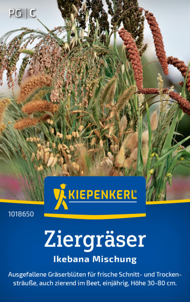 Kiepenkerl Ziergräser Ikebana Mischung