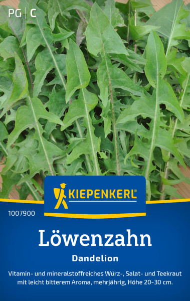 Kiepenkerl Löwenzahn Dandelion