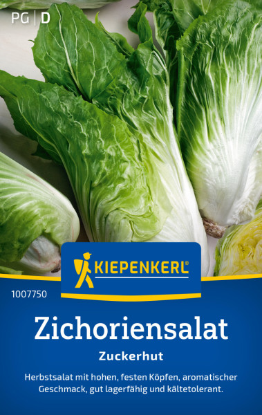 Kiepenkerl Zichoriensalat Zuckerhut