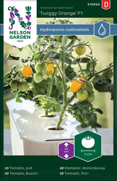 Produktbild von Nelson Garden Buschtomate Twiggy Orange F1 für Hydroponik in einer weißen Blumentopfeinheit mit grünen und orangefarbenen Tomaten an der Pflanze und Pflegehinweisen.