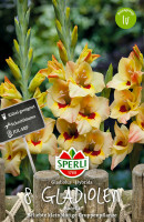 Sperli Gladiole Bocelli