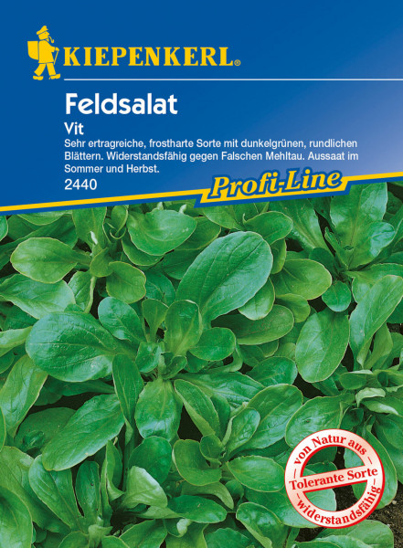 Produktbild von Kiepenkerl Feldsalat Vit mit Informationen zur Sorte und Aussaat auf der Verpackung und Darstellung des Feldsalats.