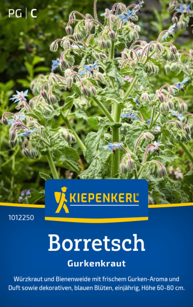 Kiepenkerl Borretsch Gurkenkraut